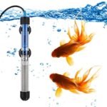 Do Goldfish need a heater - BEST CANISTER