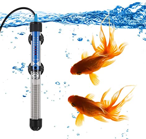 Image showcasing Do Goldfish need a heater - BEST CANISTER